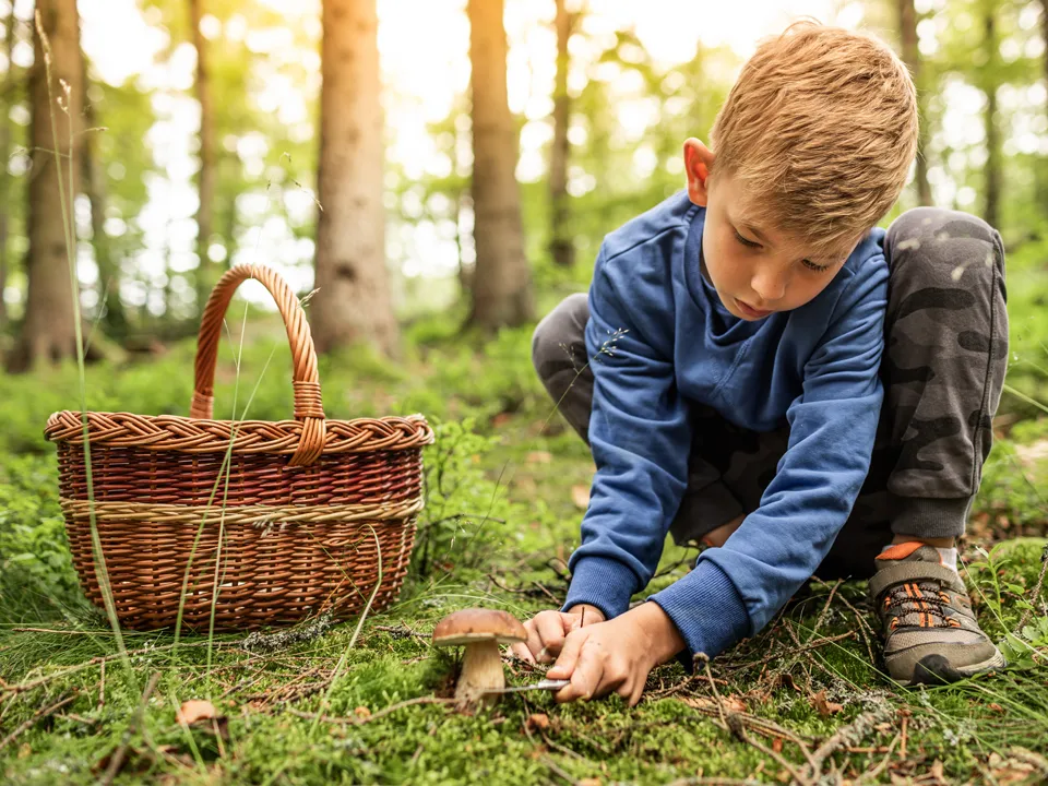 Фото: istockphoto.com