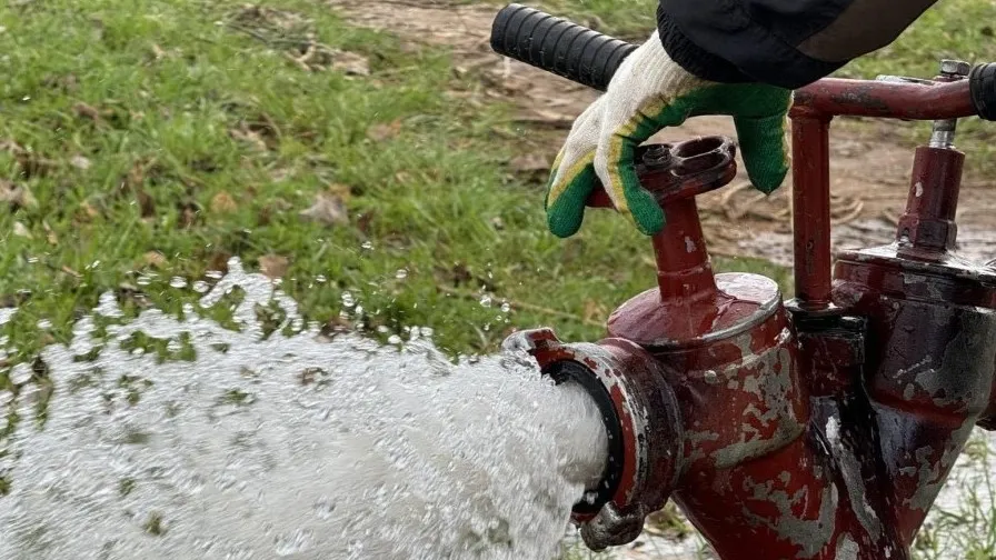 Фото: пресс-служба Администрации Можайского городского округа