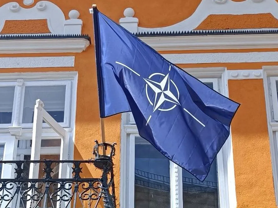 Политолог Федоров допустил сокращение стран-членов НАТО из-за политики Трампа