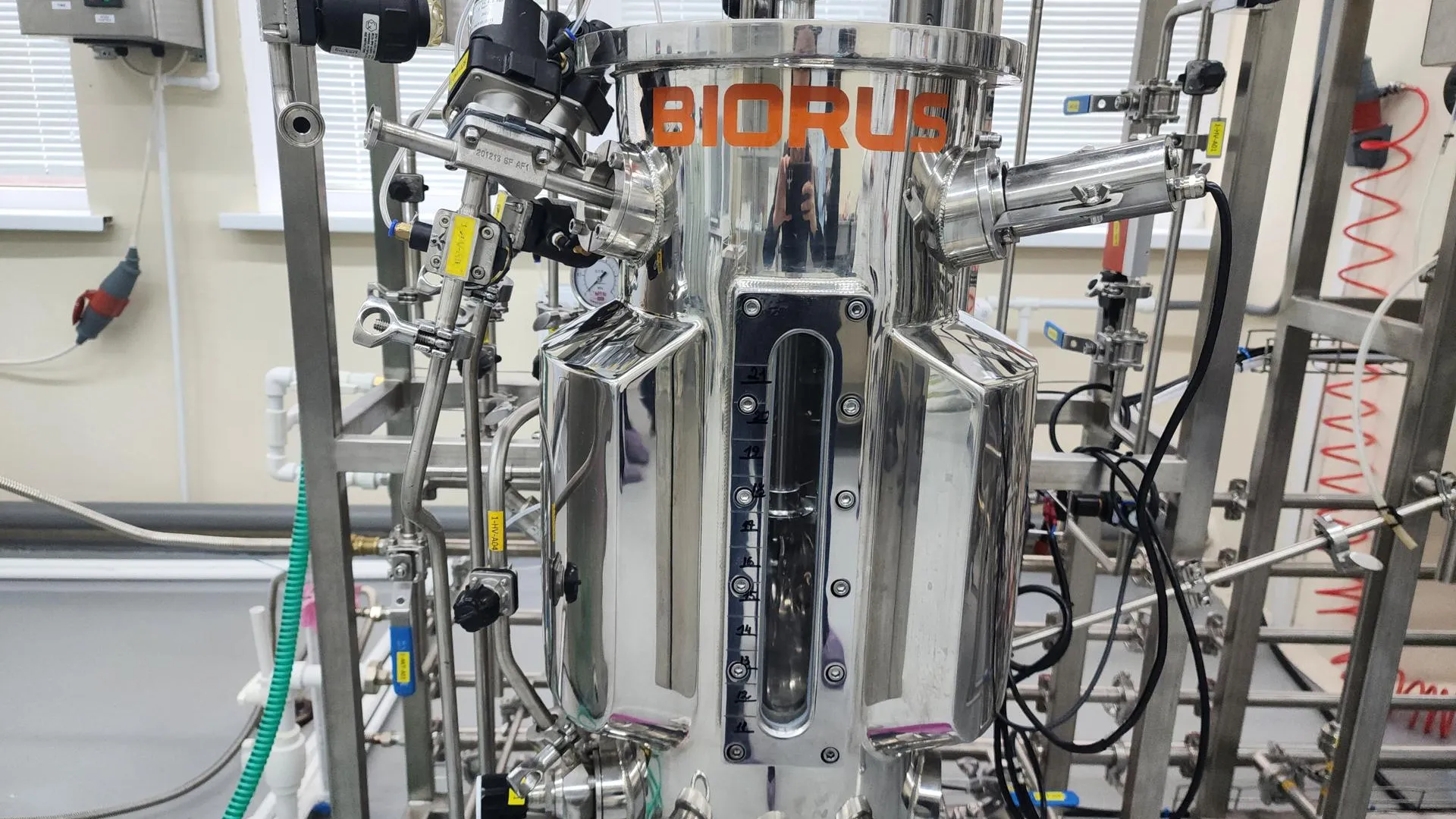 Фото: Мария Панина