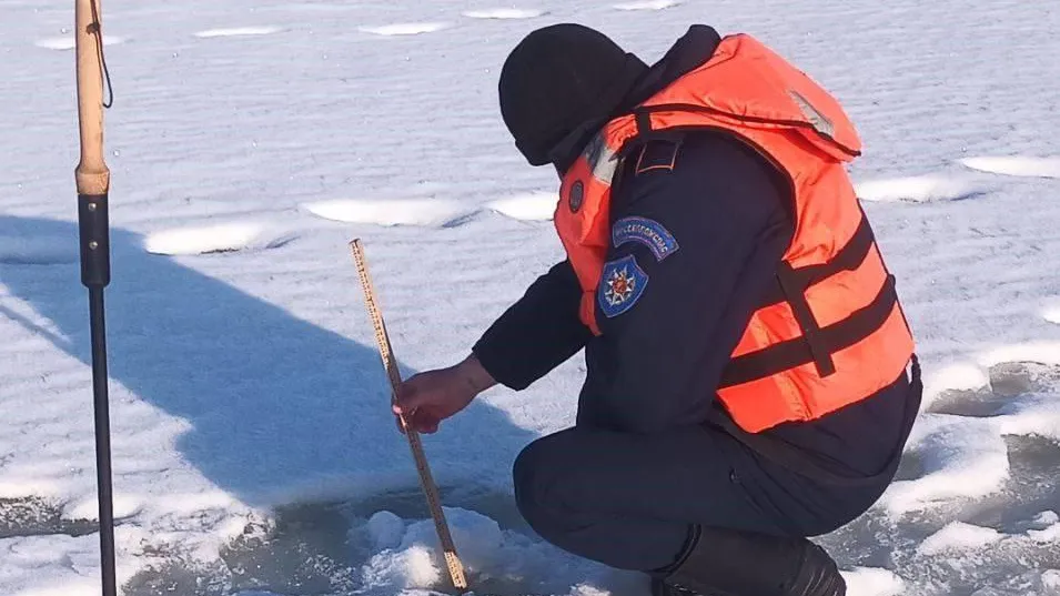 ГКУ МО «Мособлпожспас»