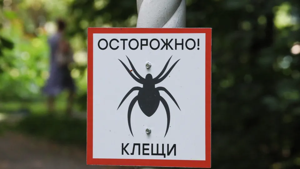 Фото: ТАСС/Владимир Гердо