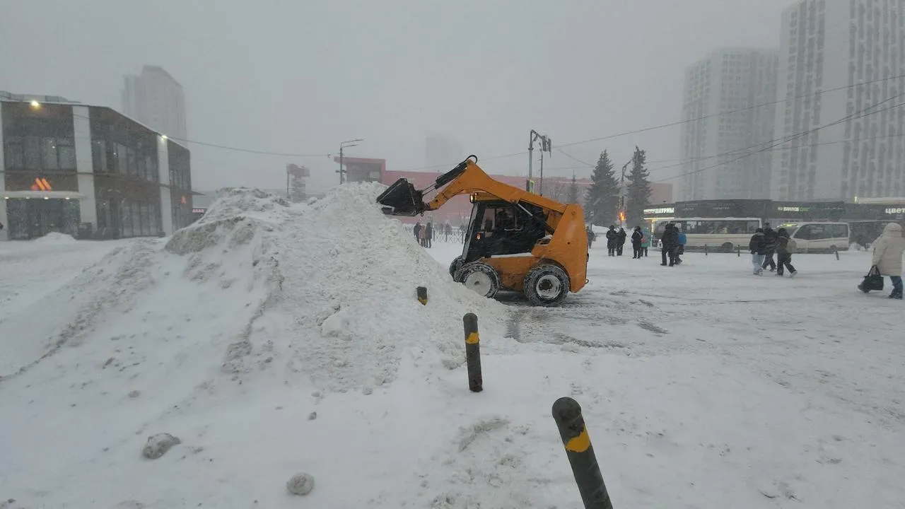 МедиаБанк Подмосковья/Валерия Исаева