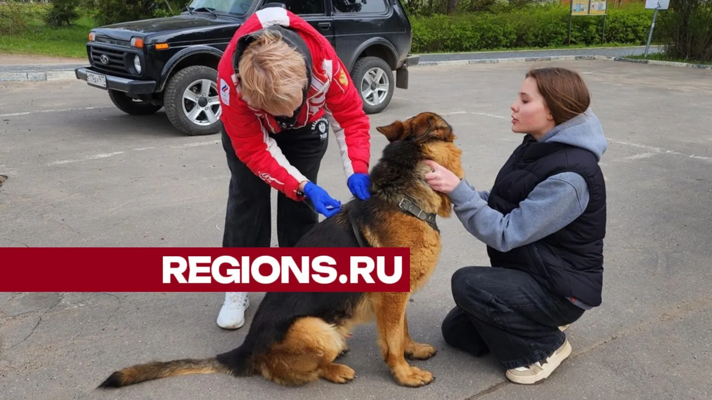 Фото: Валентина Максимова