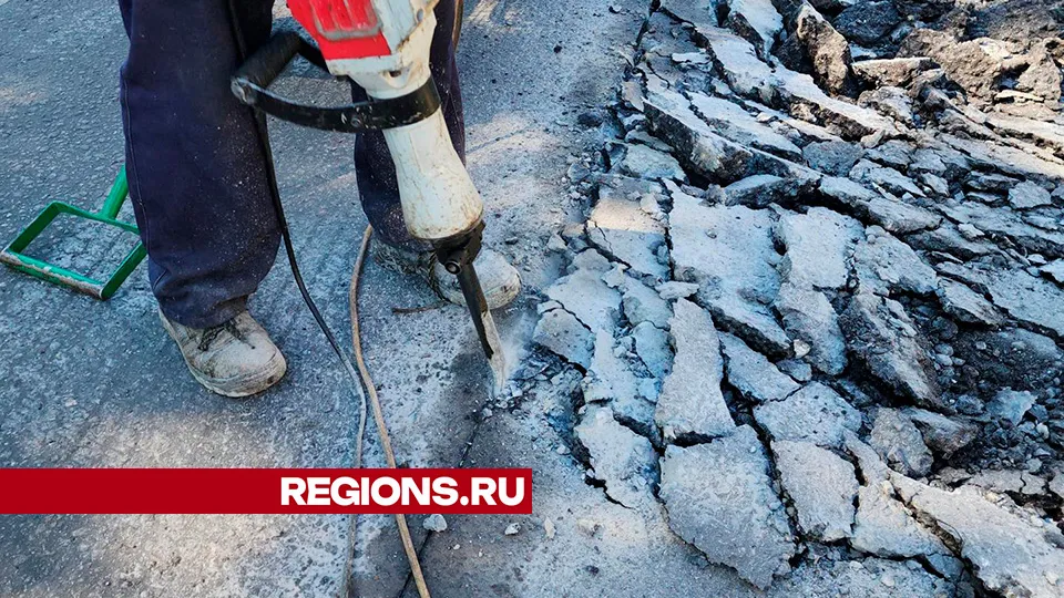 Фото: Михаил Мартыненко