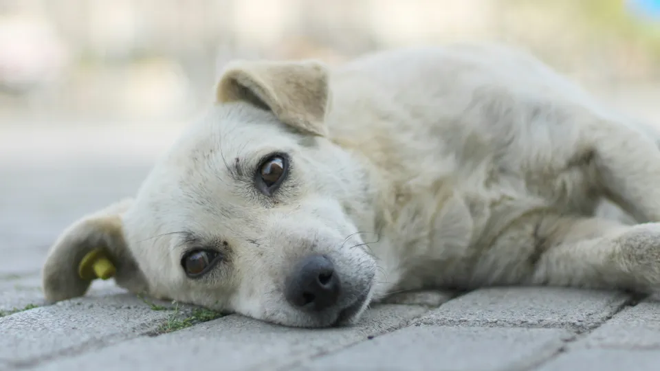 Фото: unsplash.com