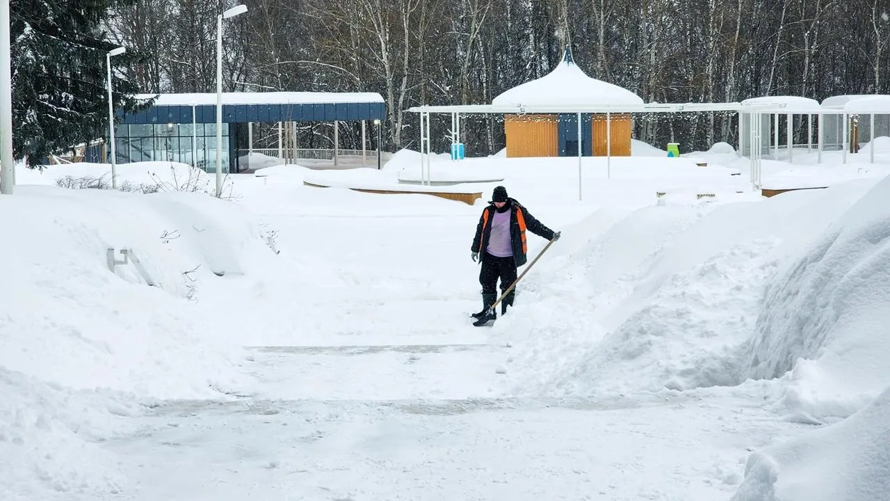 REGIONS/Мария Панина