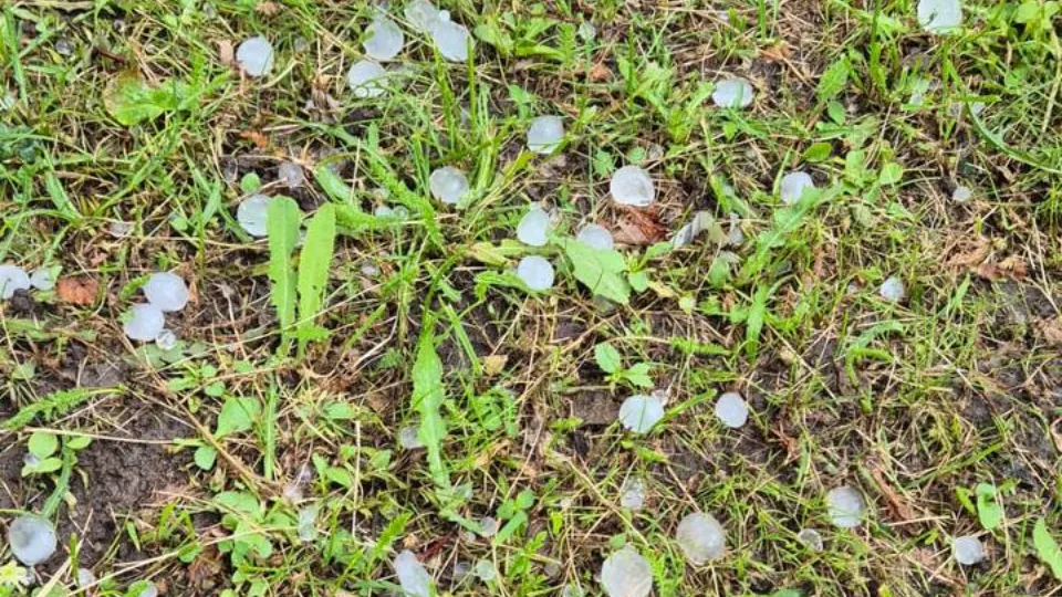 Фото: пресс-служба администрации Рузского м.о.