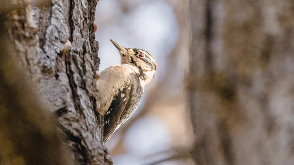 Фото: freepik.com