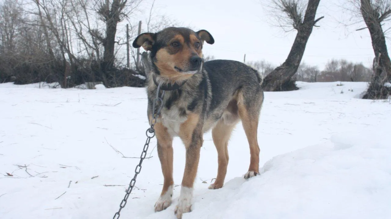 REGIONS/Дарина Левкина