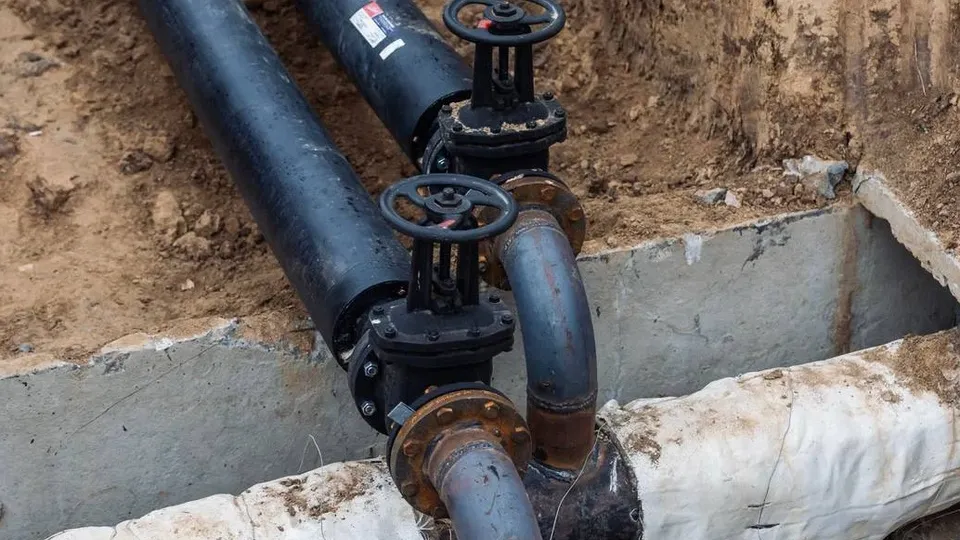 Фото: пресс-служба администрации г.о. Кашира