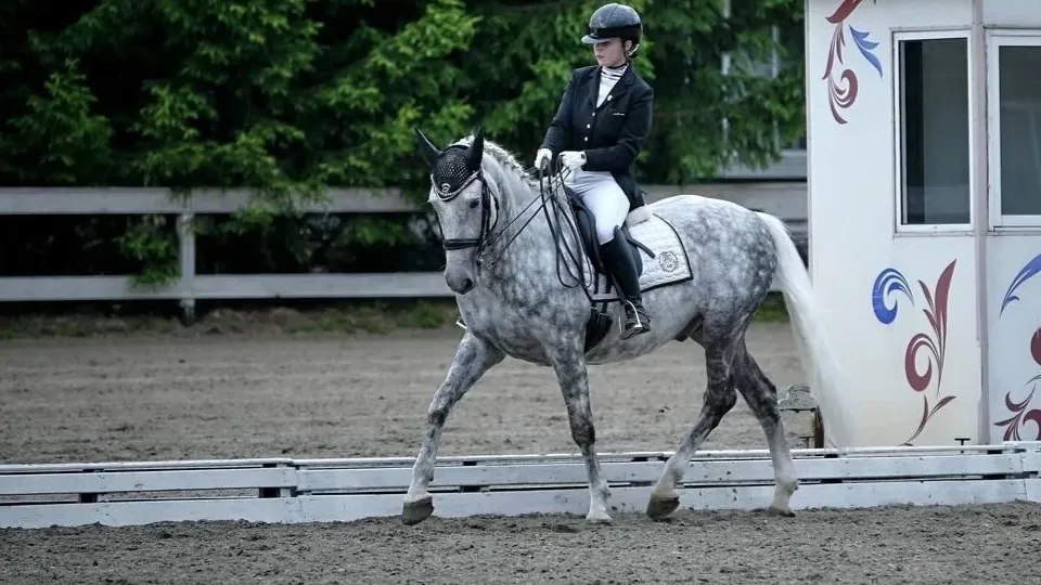 Фото: Заур Карамазов
