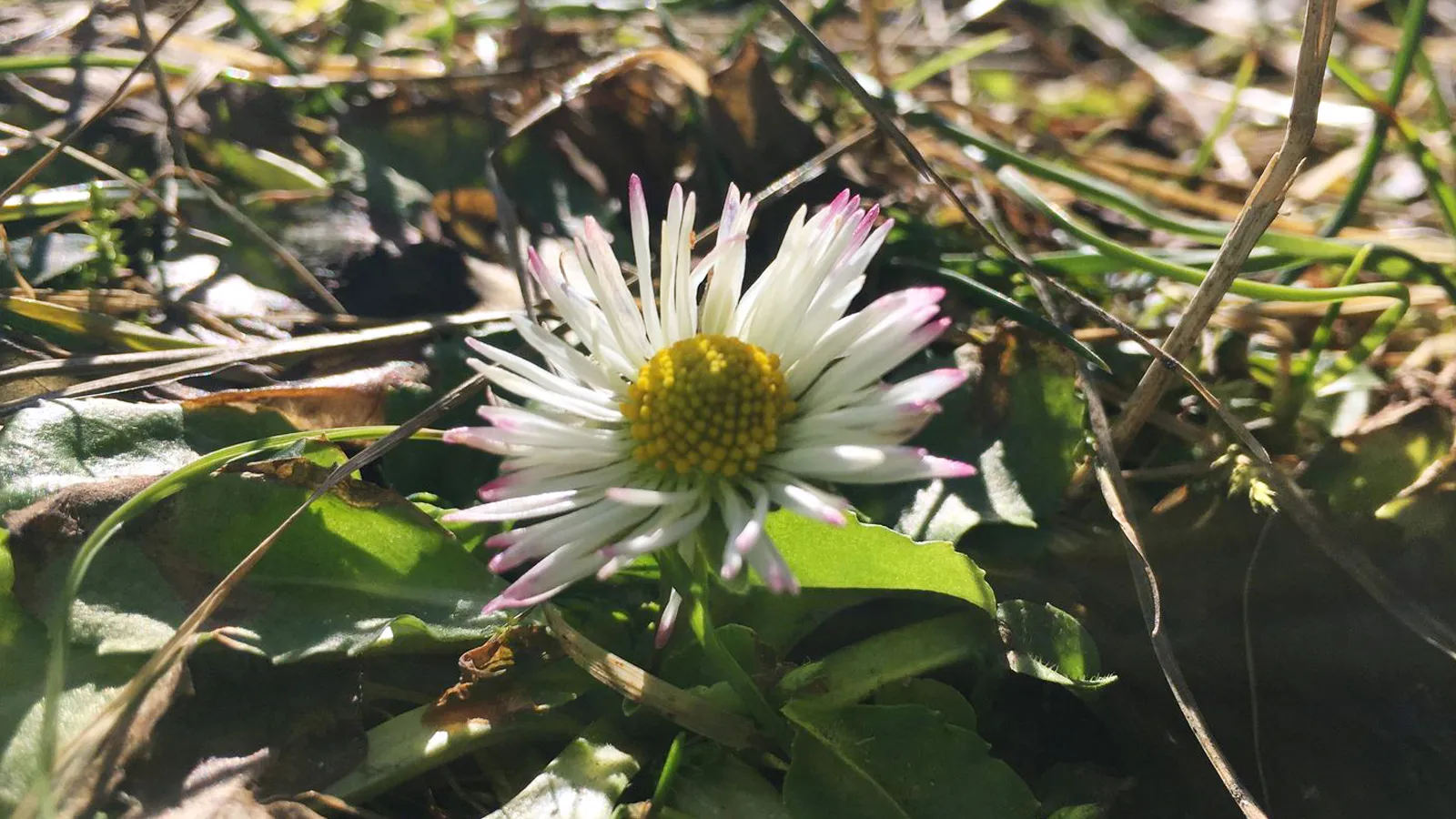 Фото: Андрей Синцов