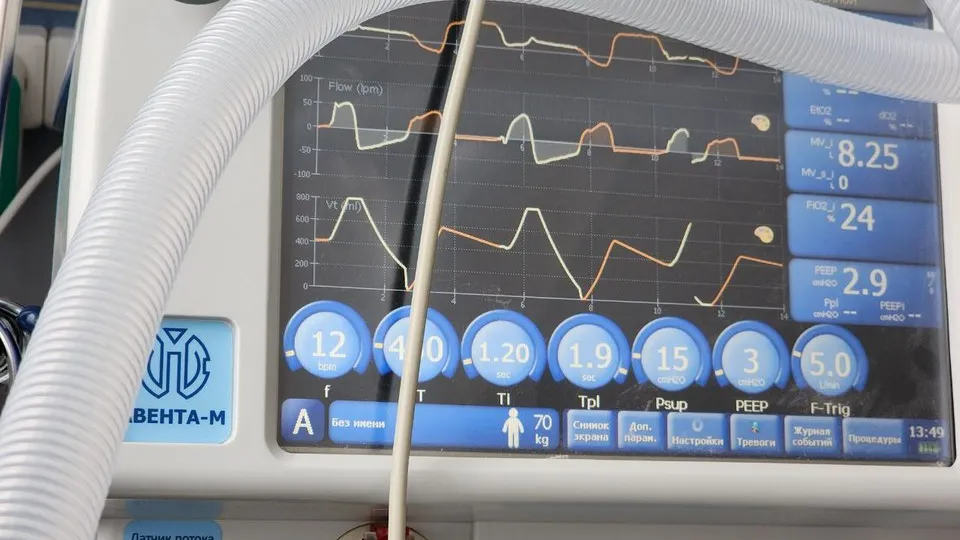 Фото: Медиаархив Подмосковья