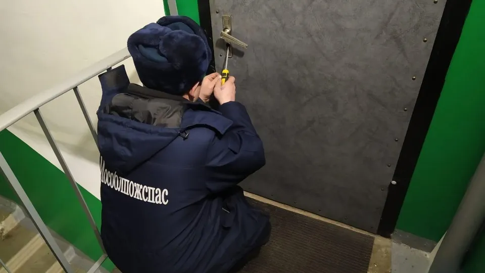 Фото: ГКУ МО «Мособлпожспас»