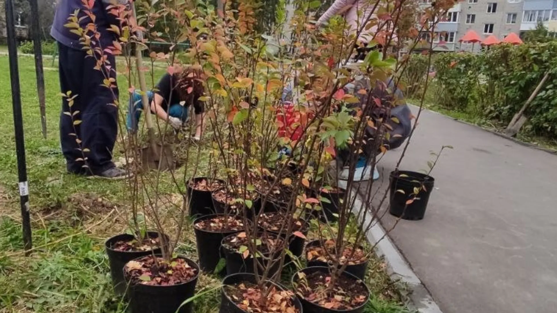 Фото: пресс-служба администрации г.о. Луховицы