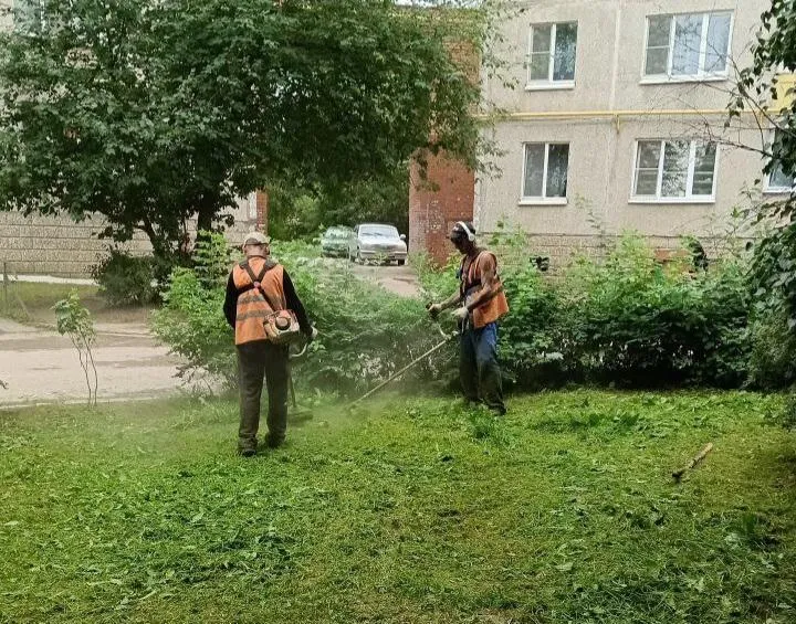 Фото: Светлана Плотникова