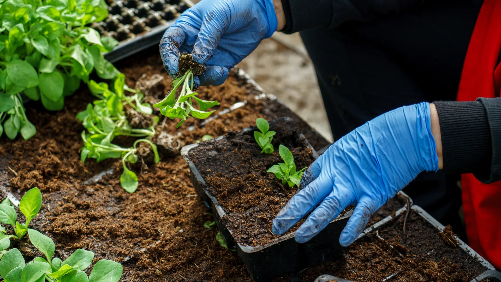 медиасток.рф