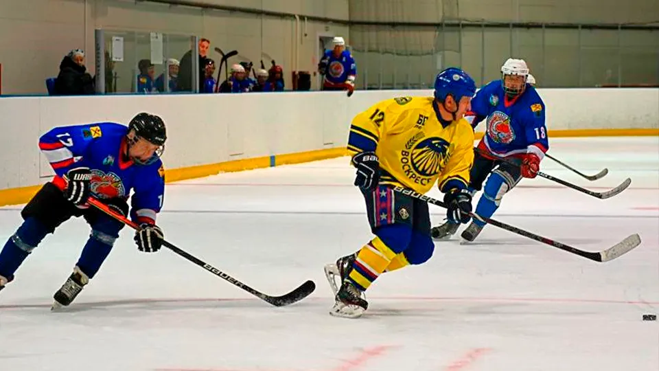 Фото: Зарайский ледовый спортивный комплекс