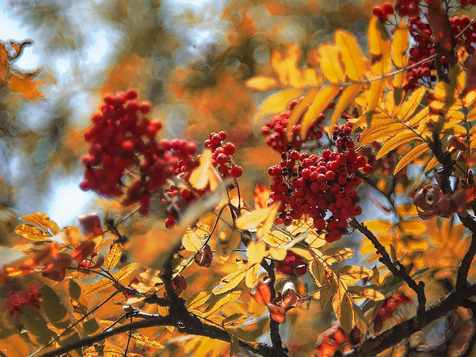 Фото: REGIONS/Наталья Надточая