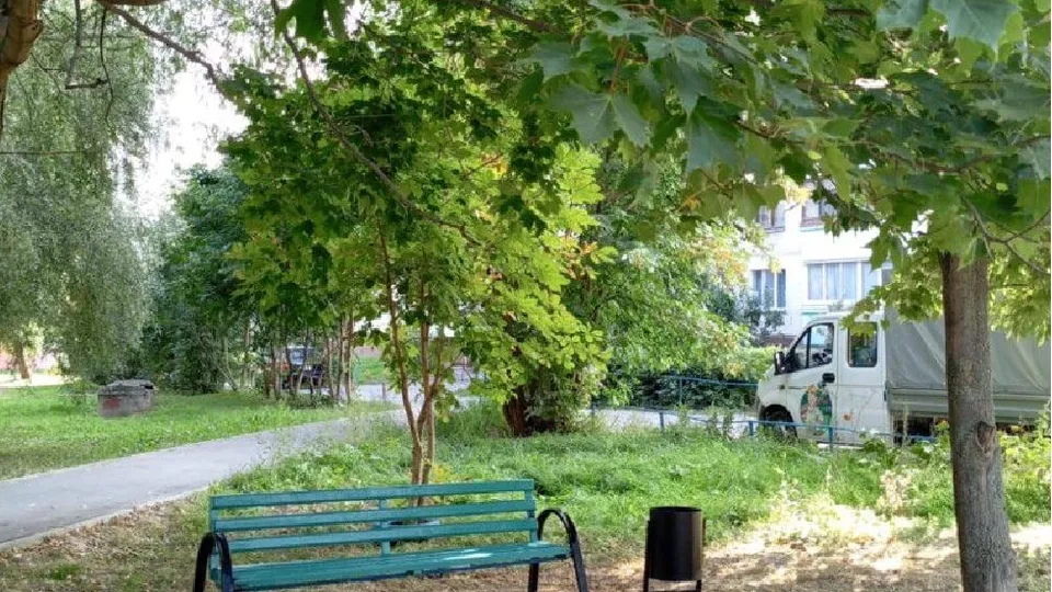 Фото: МБУ «Благоустройство и озеленение»