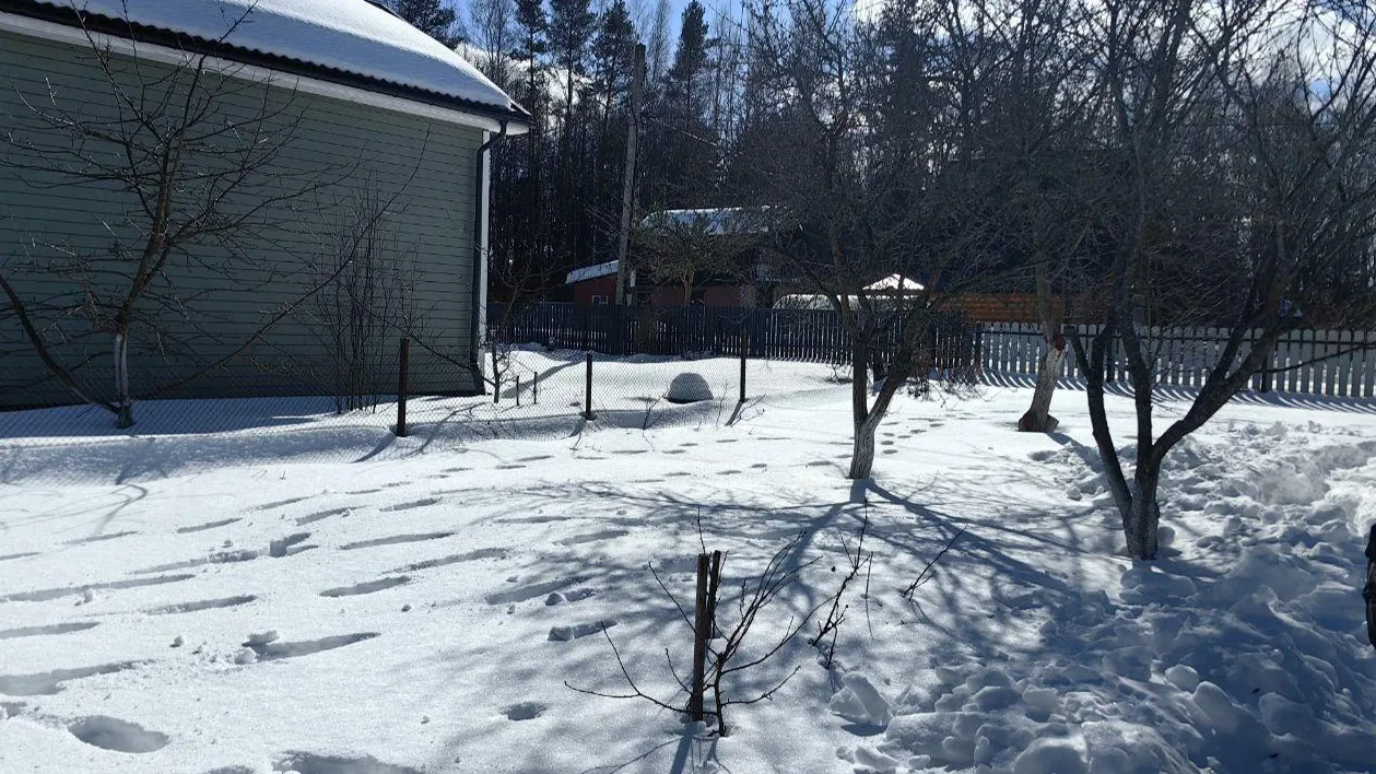 Комитет по конкурентной политике Московской области