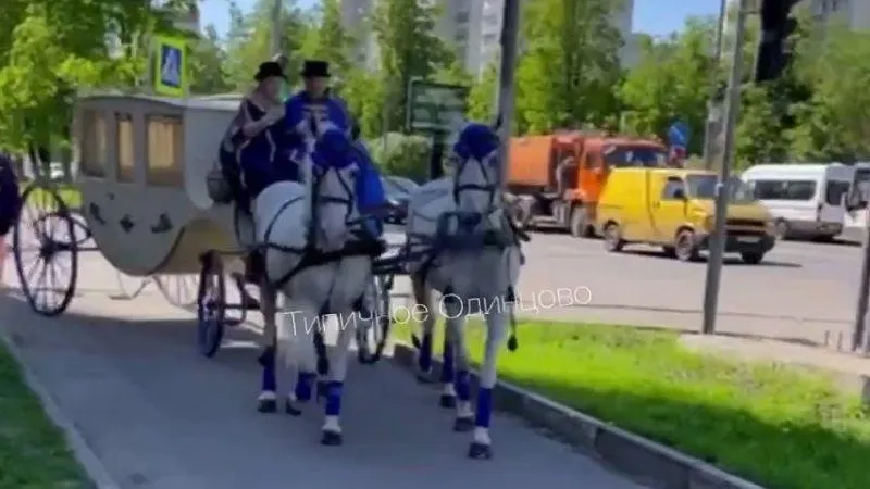 Сказочную карету заметили горожане в Одинцово