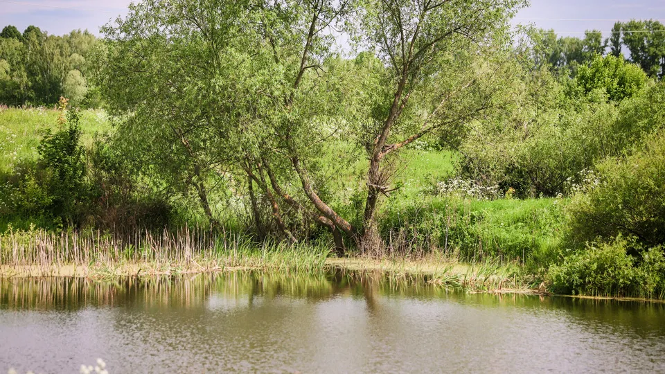 Фото: Владимир Лебедев