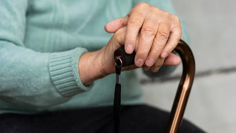 Фото: freepik.com