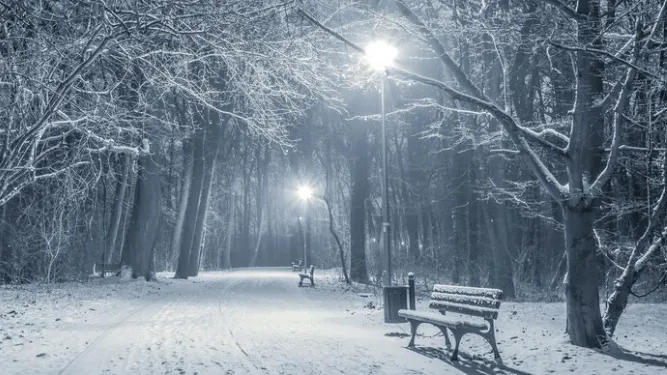 Фото: freepik.com