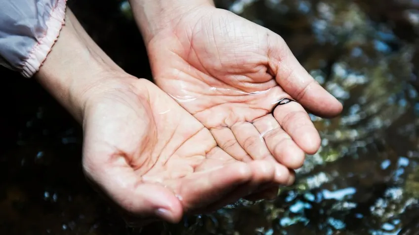 Фото: freepik.com