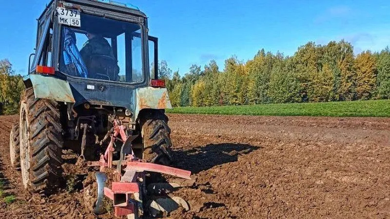 В лесных питомниках Подмосковья готовятся к посадкам будущего года