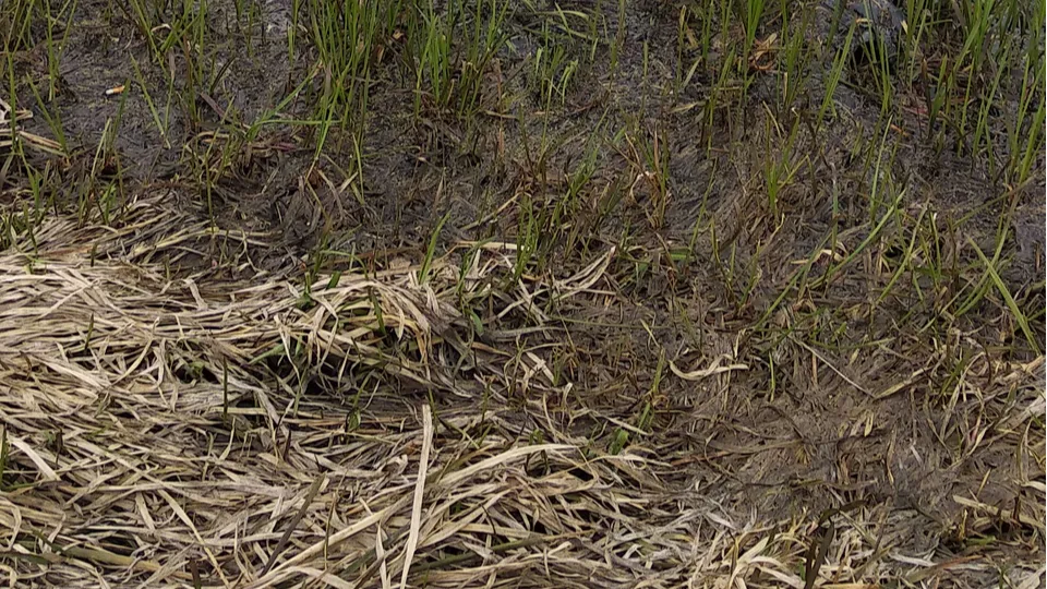 Фото: REGIONS/Наталия Надточая