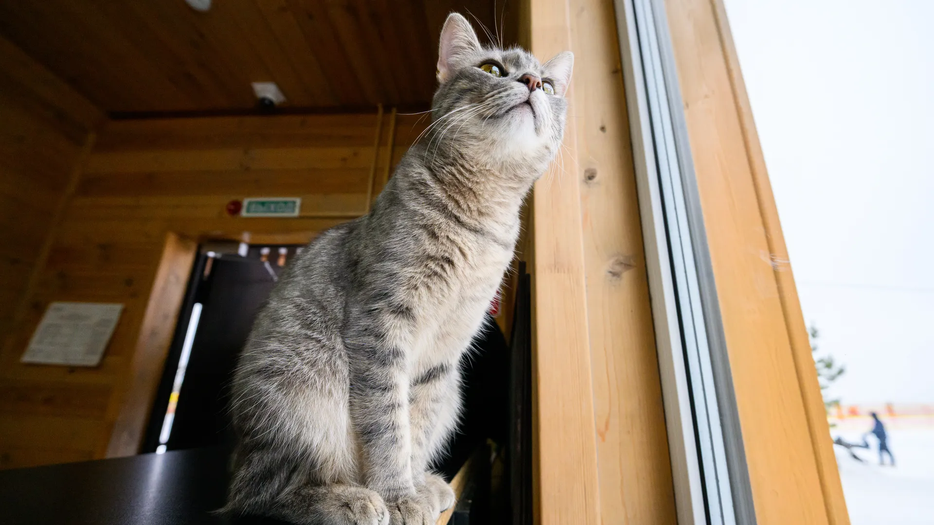 медиасток.рф