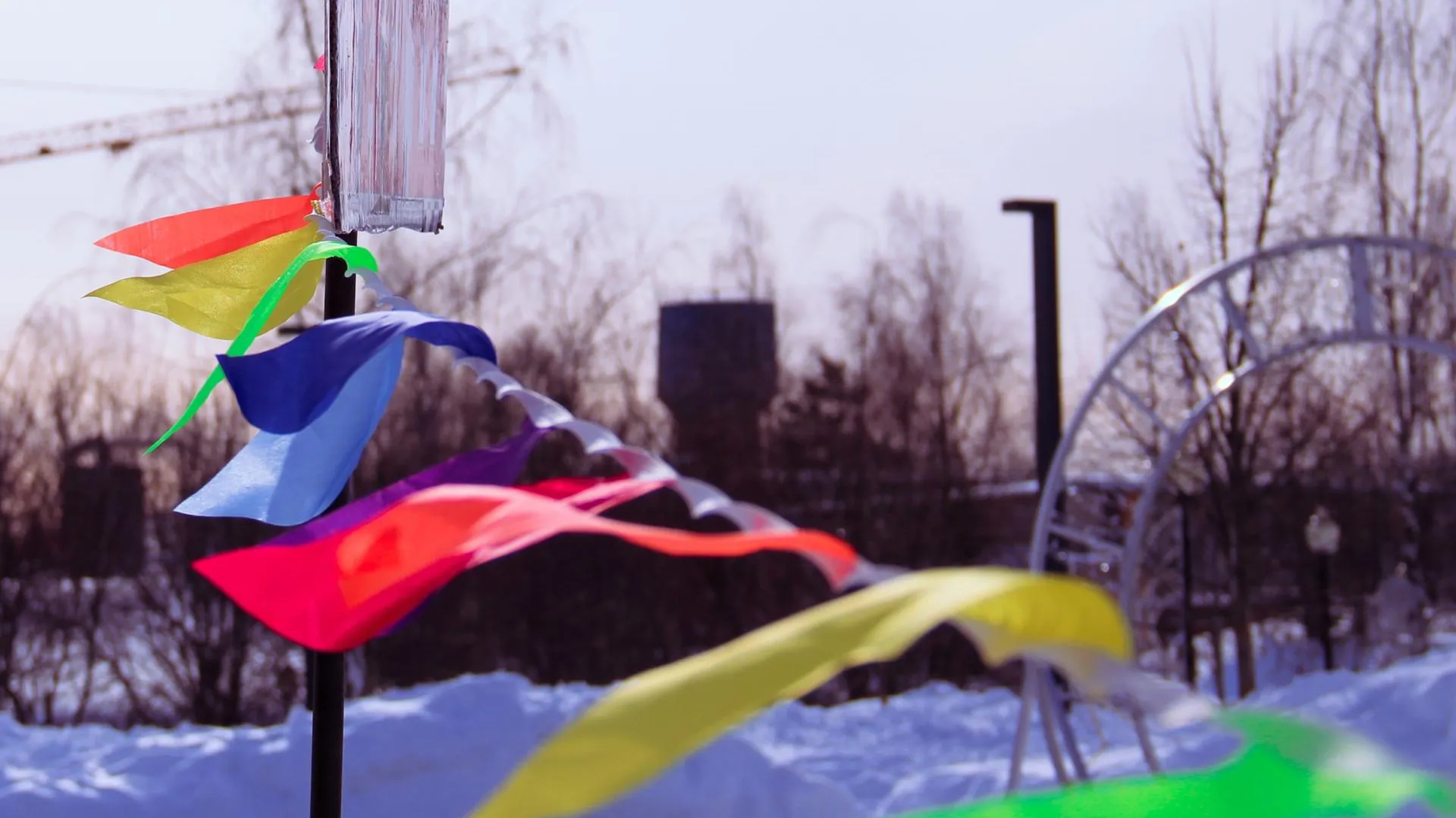 Шаховской Городской парк