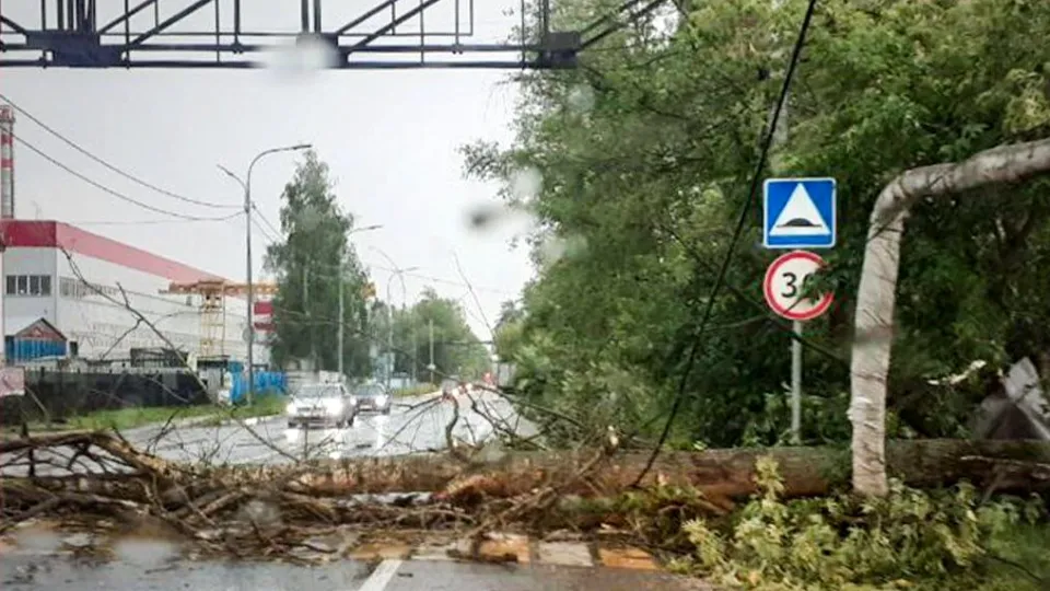 Фото: пресс-служба администрации г.о. Электросталь