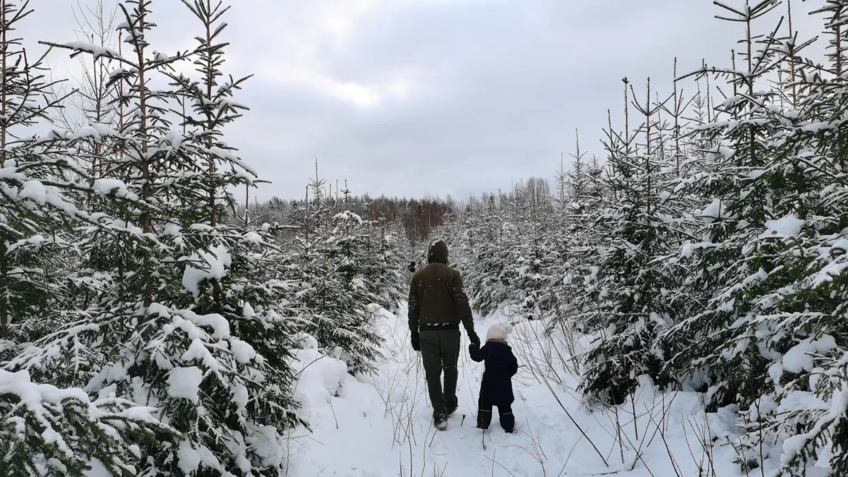 Фото: пресс-служба Комитета лесного хозяйства Московской области