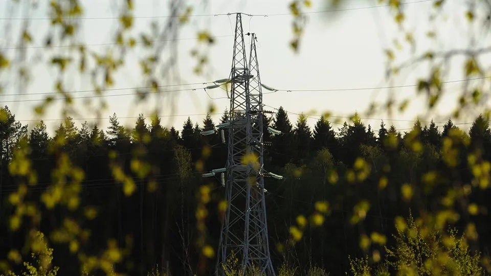 Фото: медиасток.рф