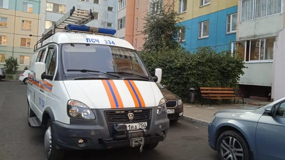 Фото: ГКУ МО «Мособлпожспас»
