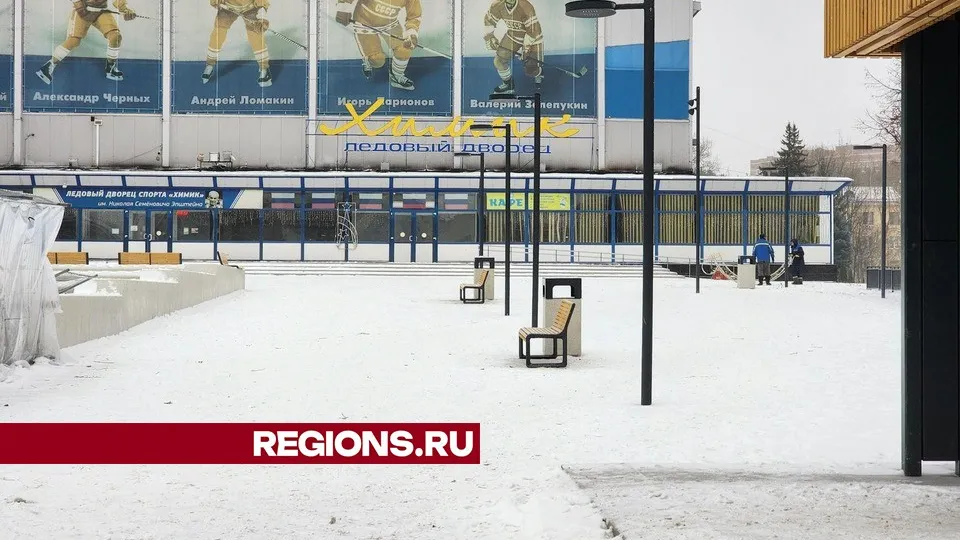 Фото: Светлана Плотникова