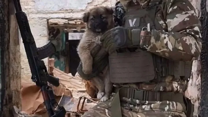 Фото: vk.com/Татьяна В.