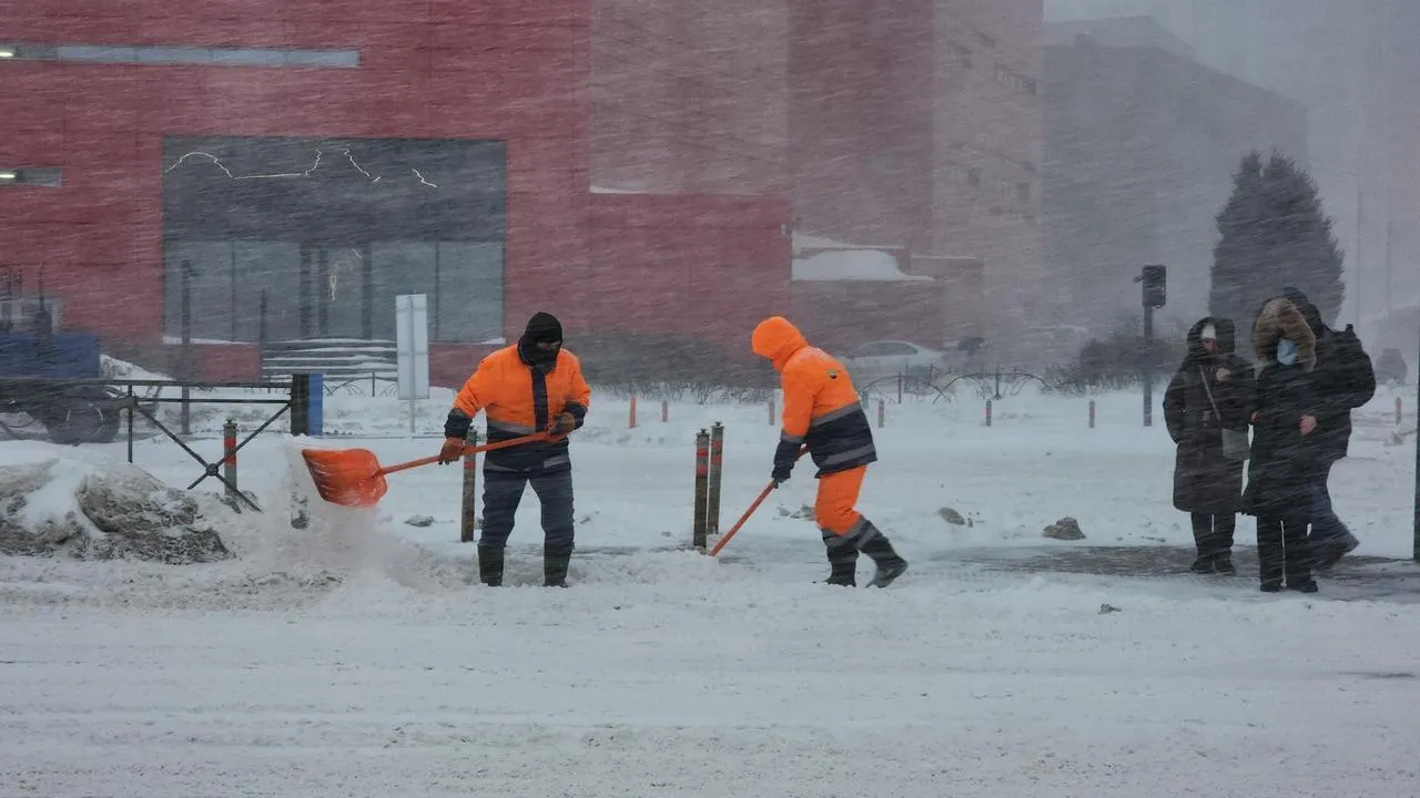 МедиаБанк Подмосковья/Валерия Исаева