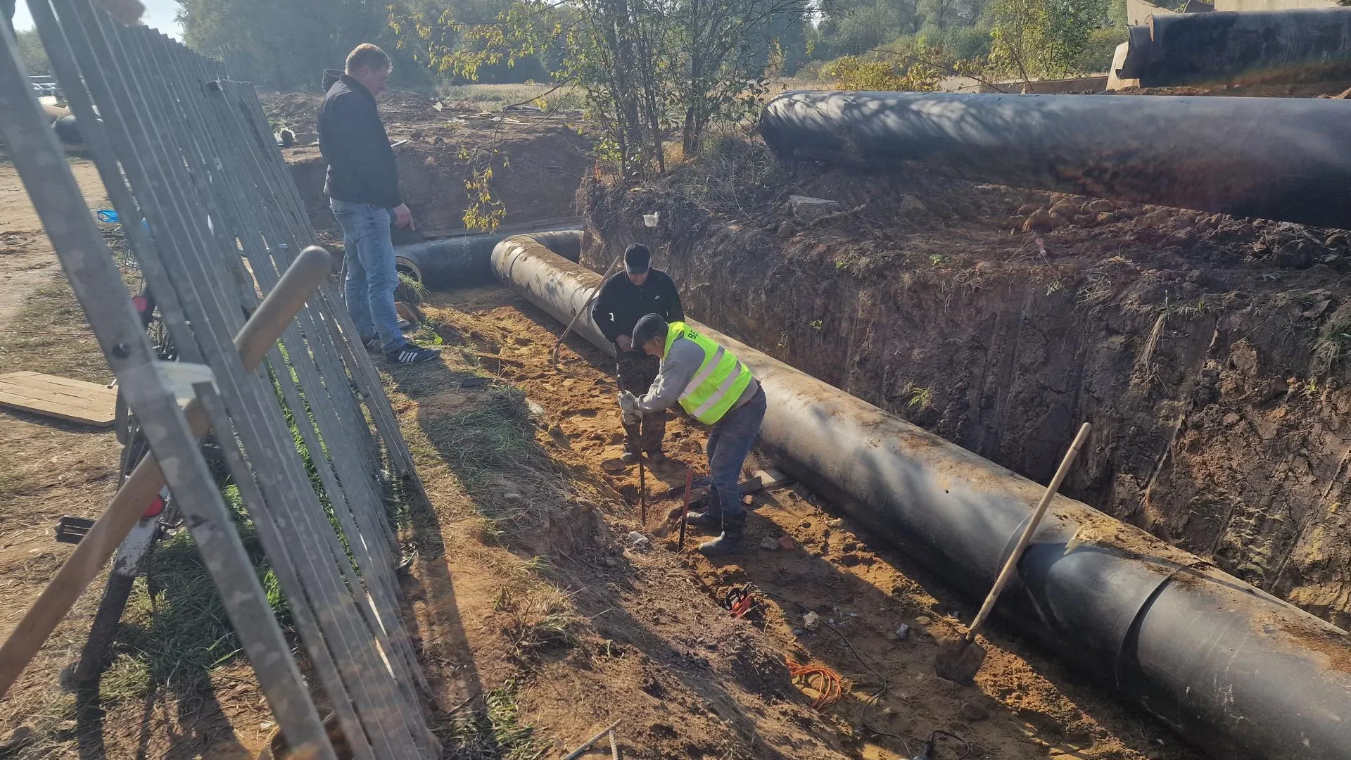 Фото: REGIONS/Ольга Шаронова