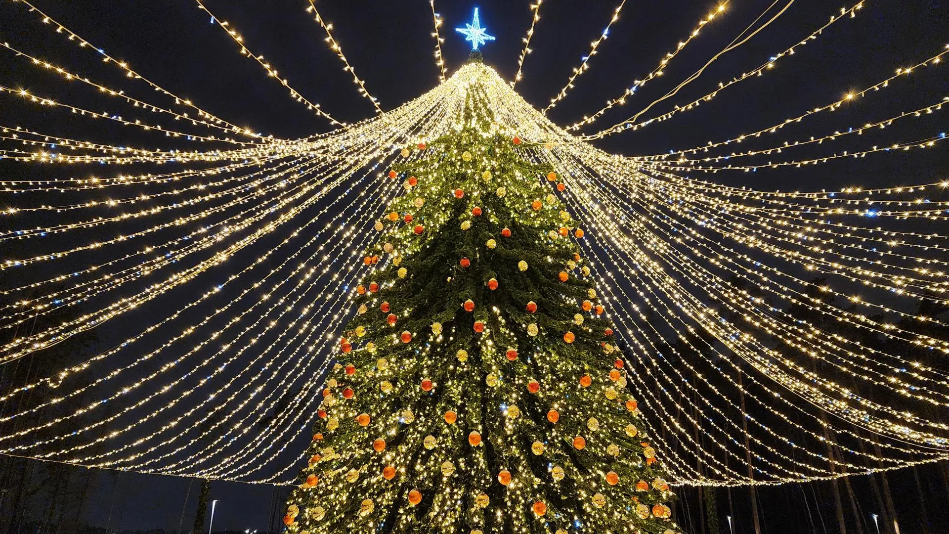 Сморкалов Никита