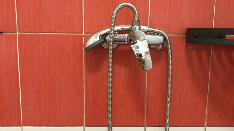 Фото: МЦУР Жуковский