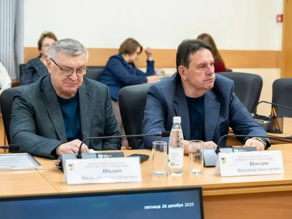 Фото: пресс-служба администрации г. о. Домодедово