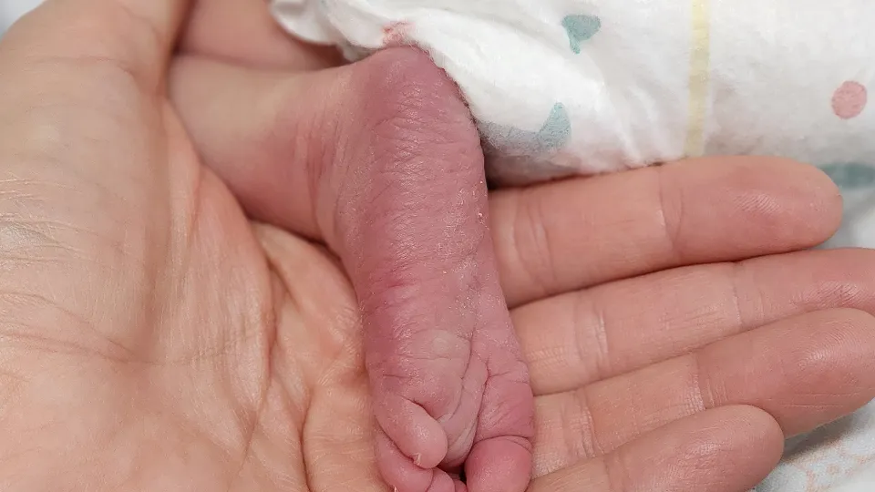 Фото: МедиаБанк Подмосковья/Валентина Максимова