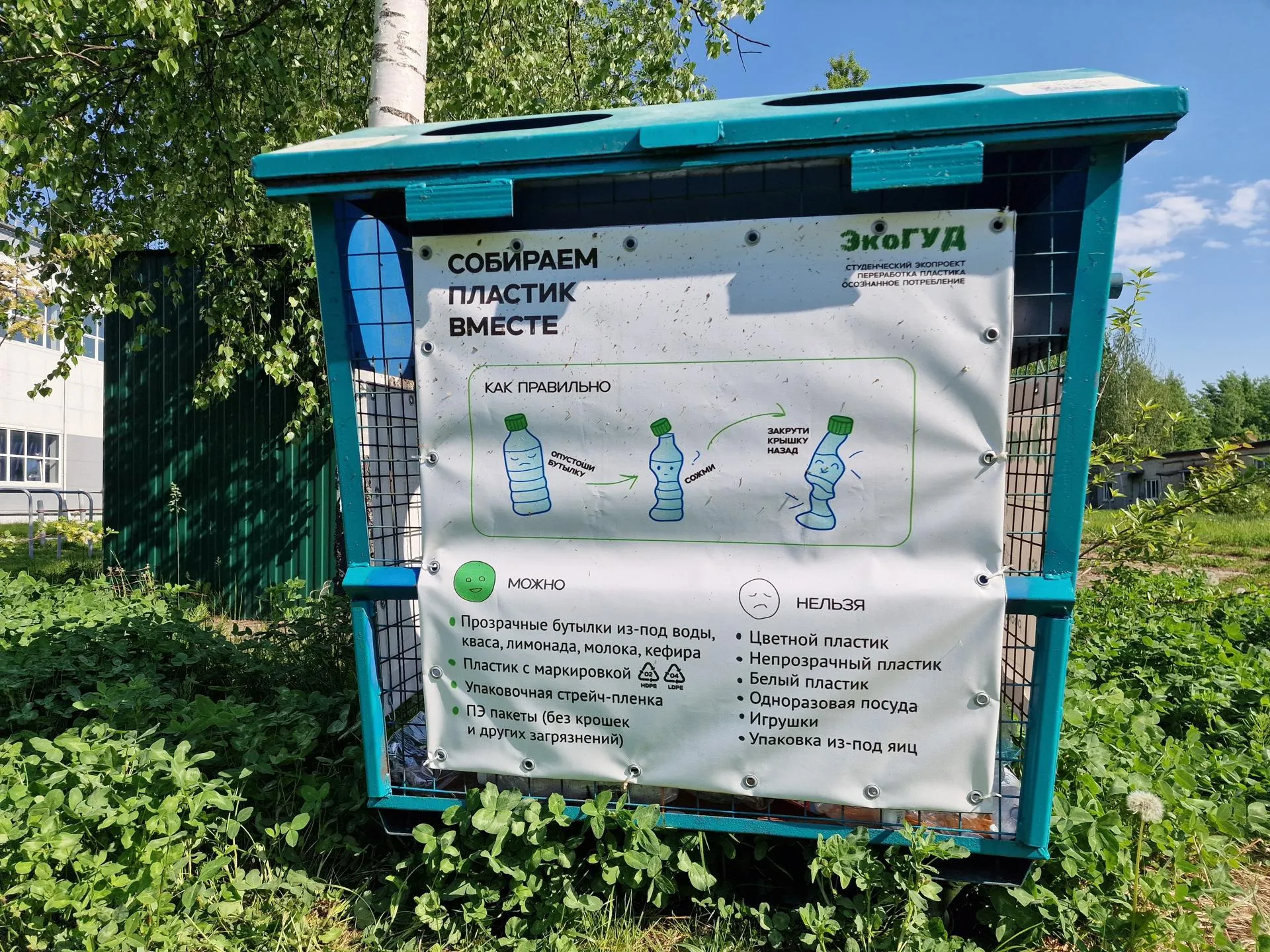 Картинка