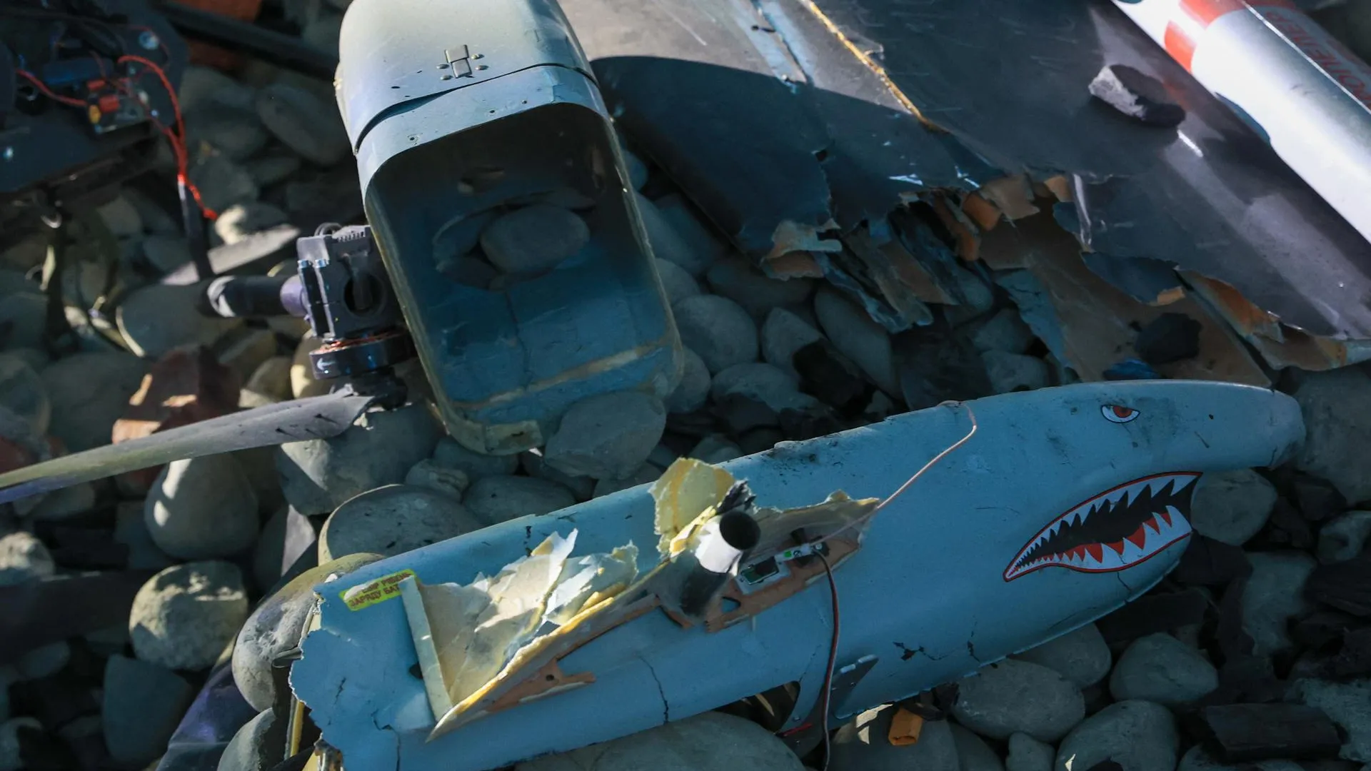 Shatokhina Natalia/news.ru