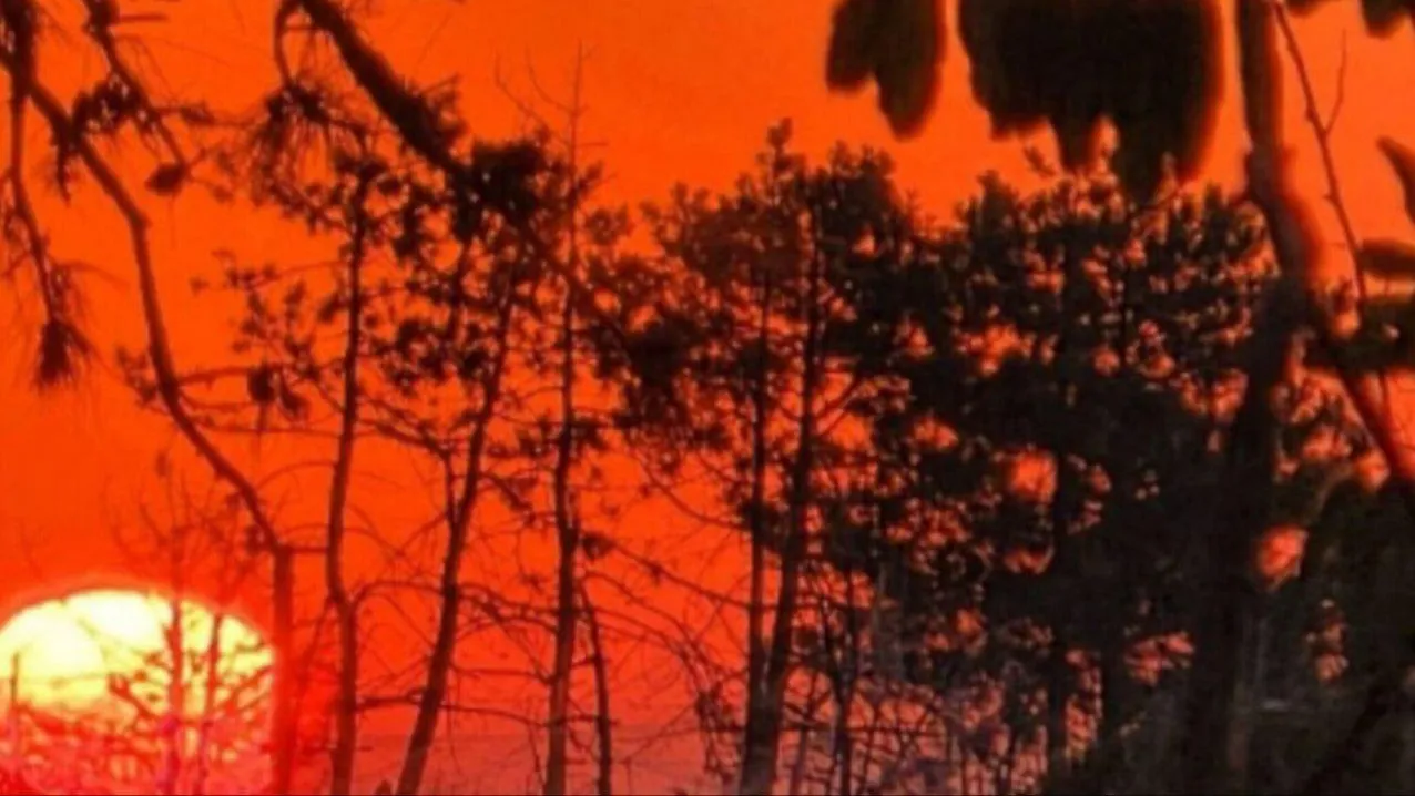 REGIONS/Анастасия Широкая